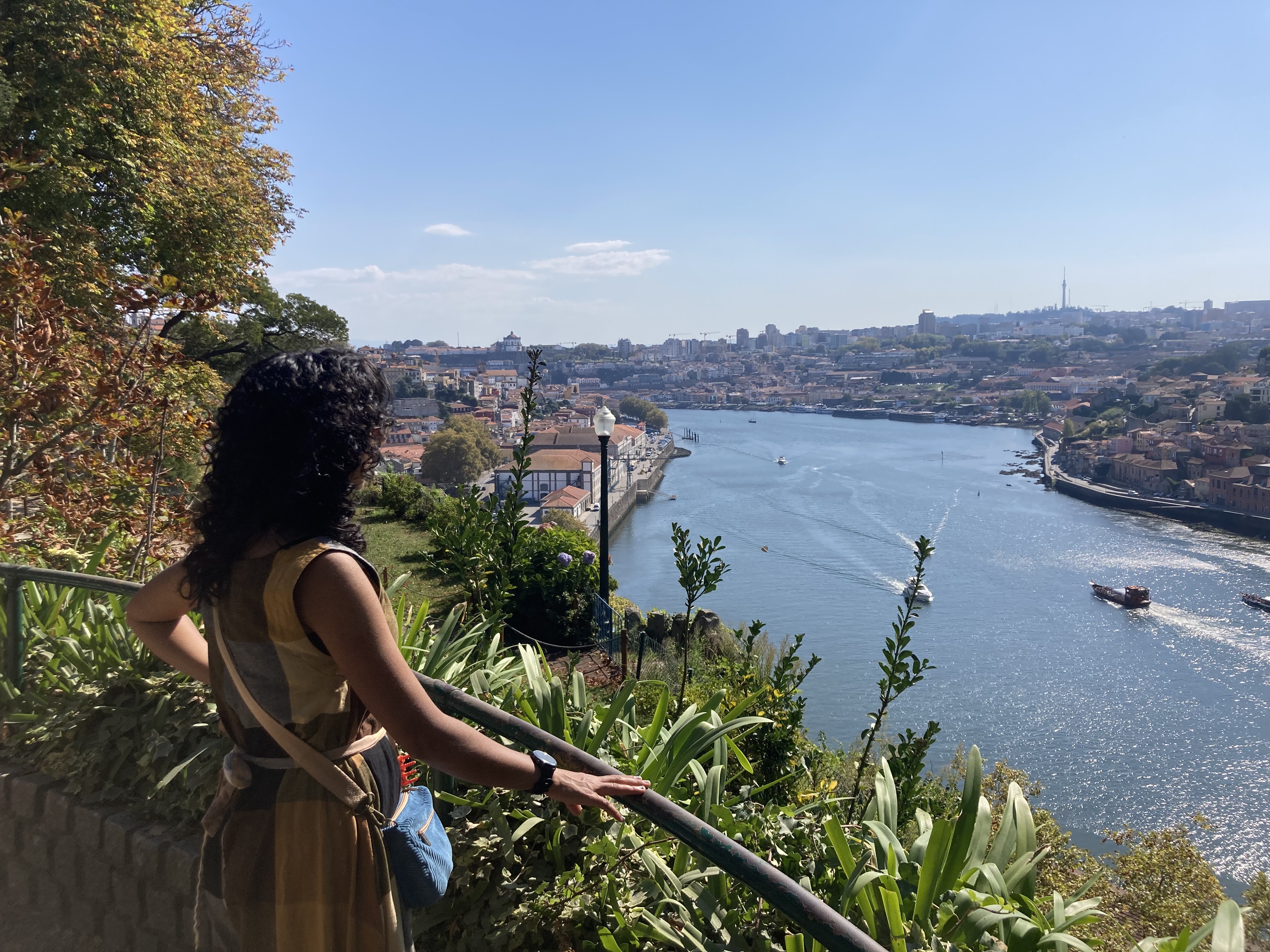 Porto view
