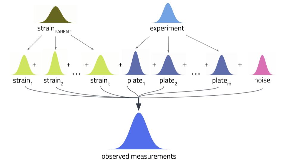 HTS data can be structured as hierarchical probability distributions